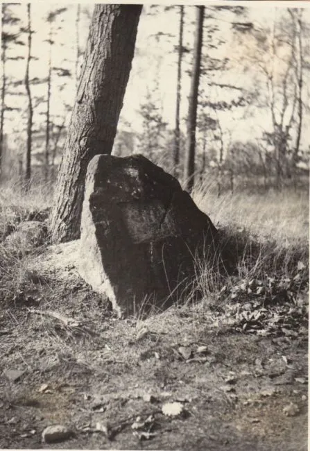 Der Weitz-Stein in den 1950er Jahren