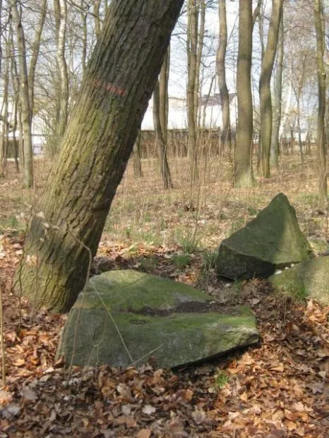 Der Weitz-Stein vor der Restaurierung